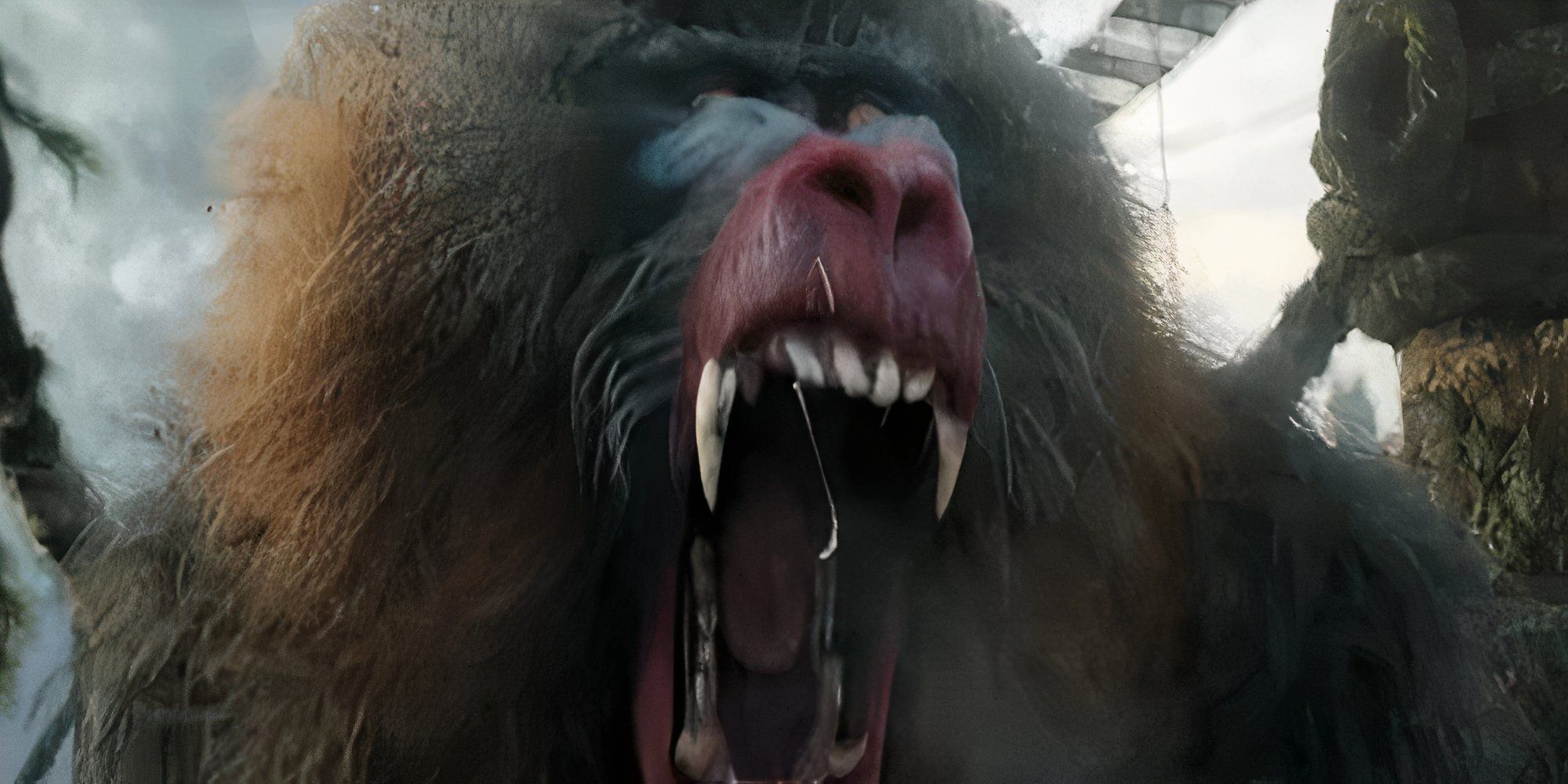 A Mandrill in Jumanji