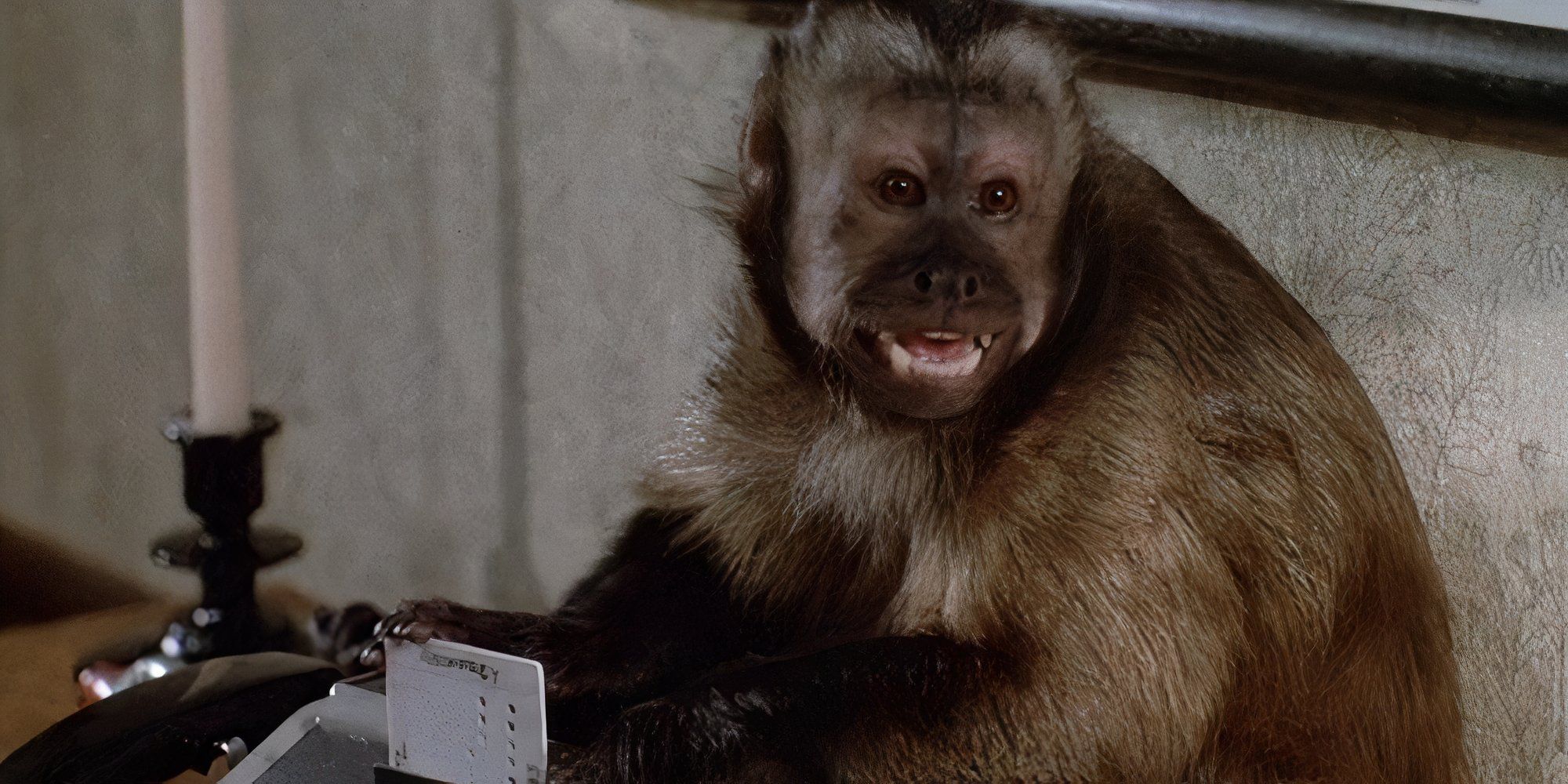 Ella in Monkey Shines