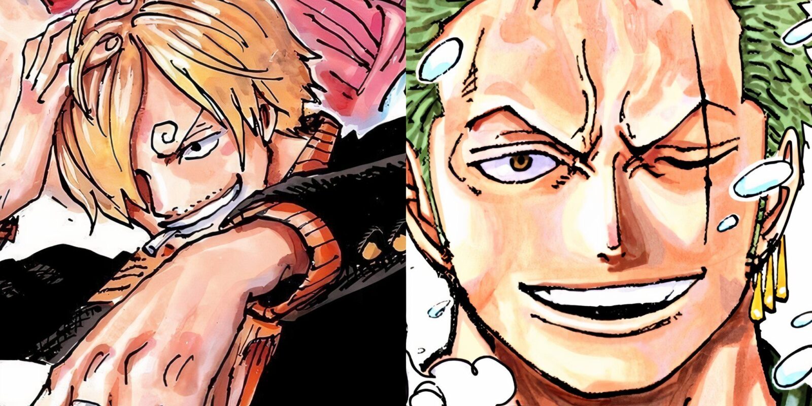 Oda Has Already Decided Zoro And Sanji's Peaks