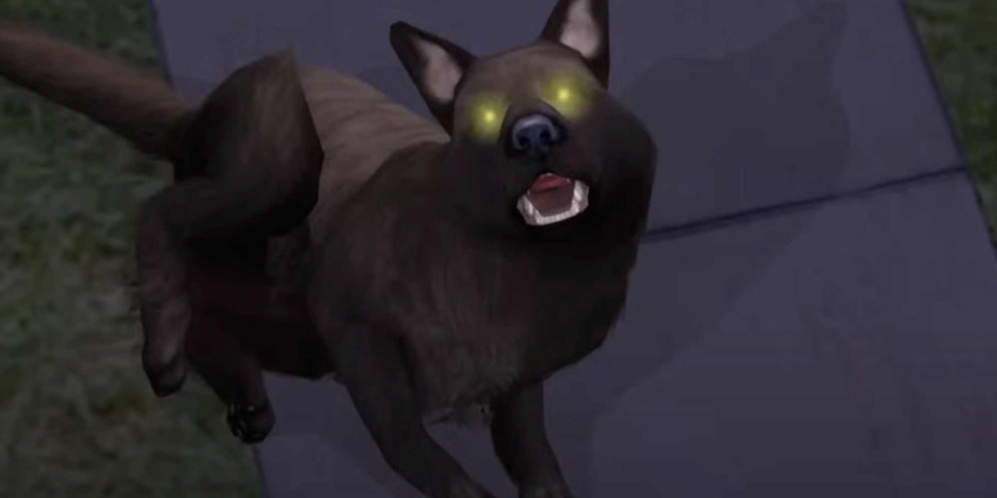 Leader of the pack of werewolves in Sims 2. 