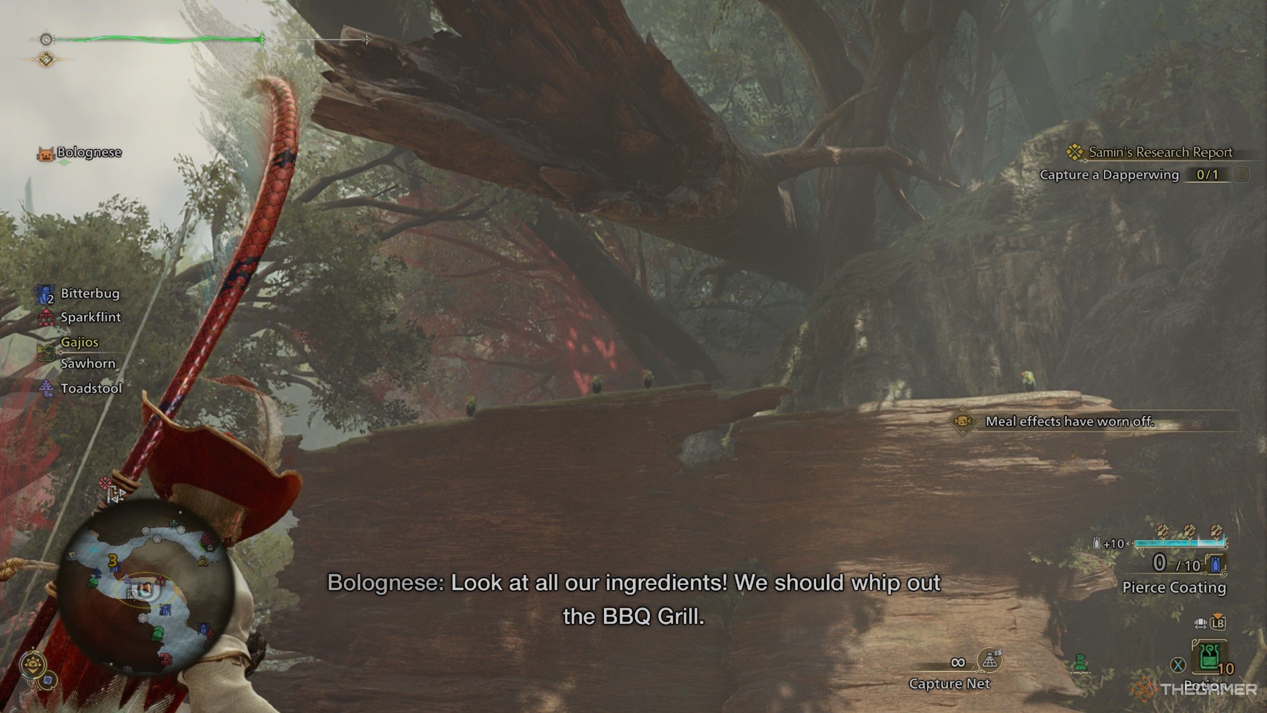 The hunter looking at a group of dapperwings on an overturned tree in monster hunter wilds.