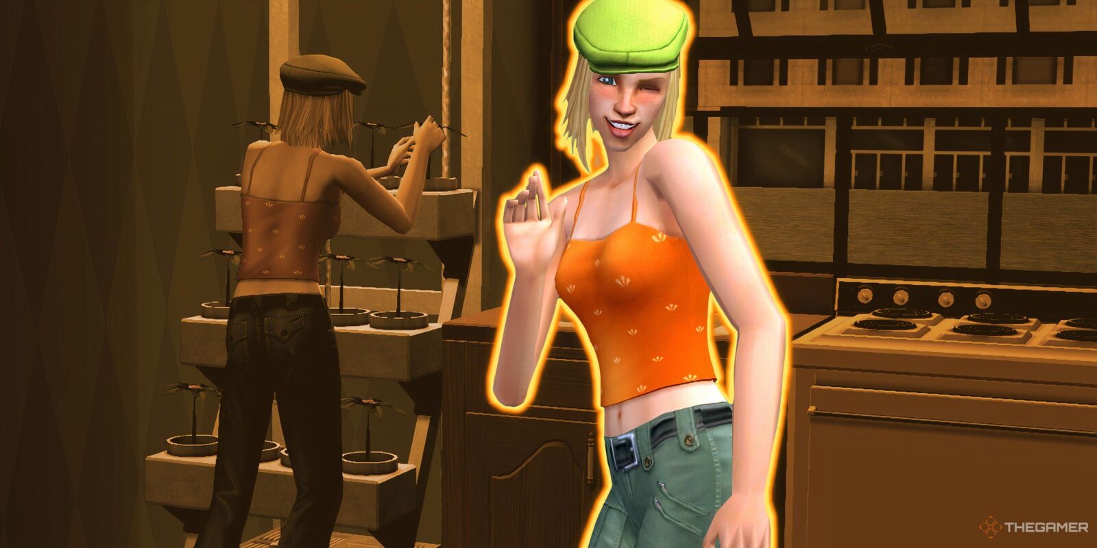 All Slacker Career Positions And Rewards In The Sims 2