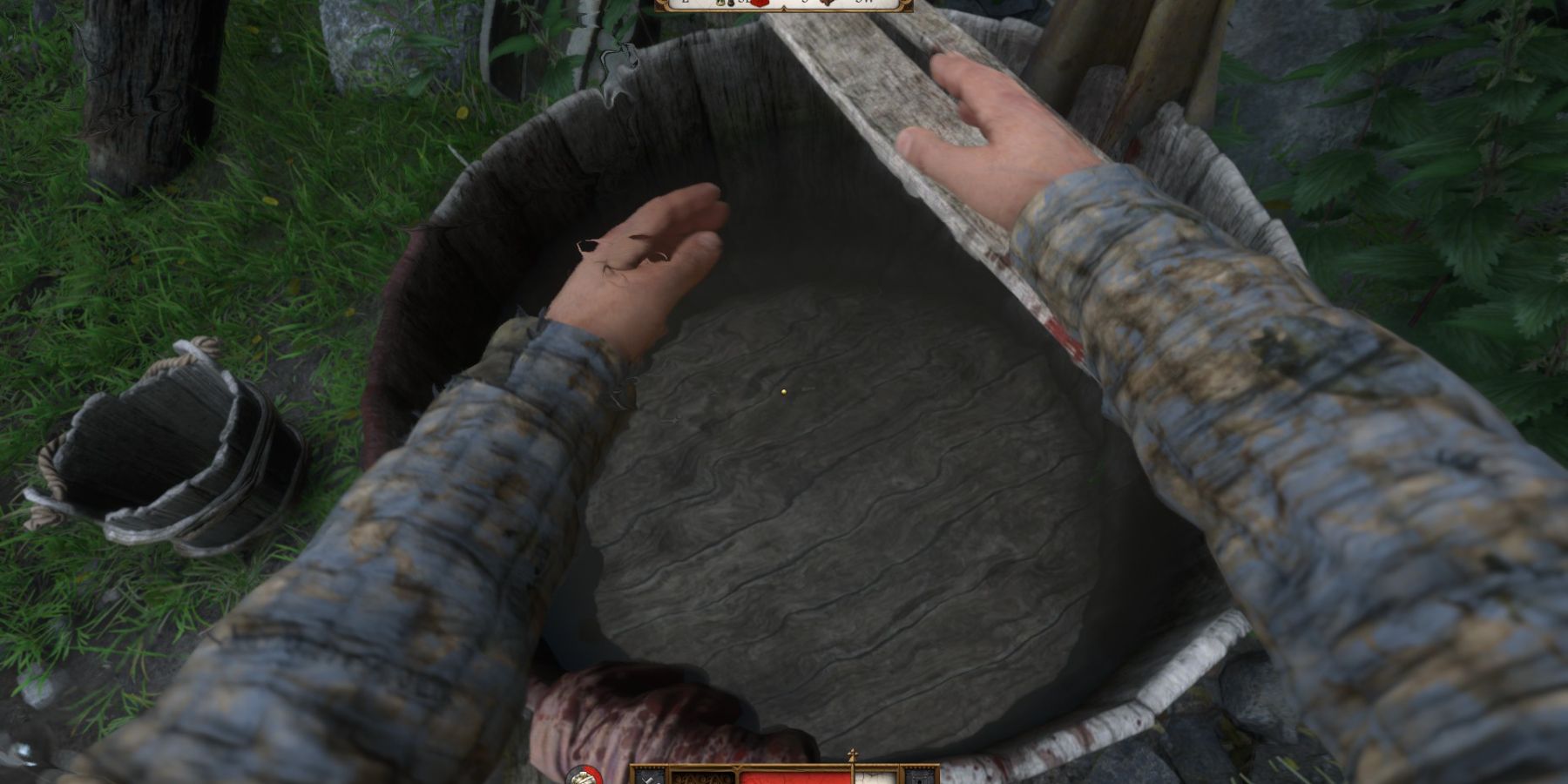 Kingdom Come Deliverance 2 Performing Basic Wash