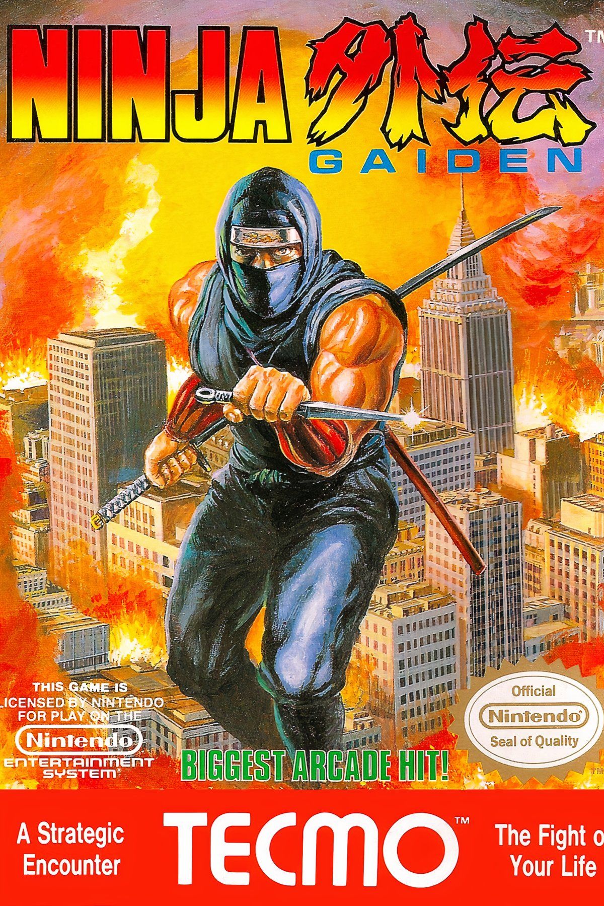 Ninja Gaiden Tag Page Cover Art