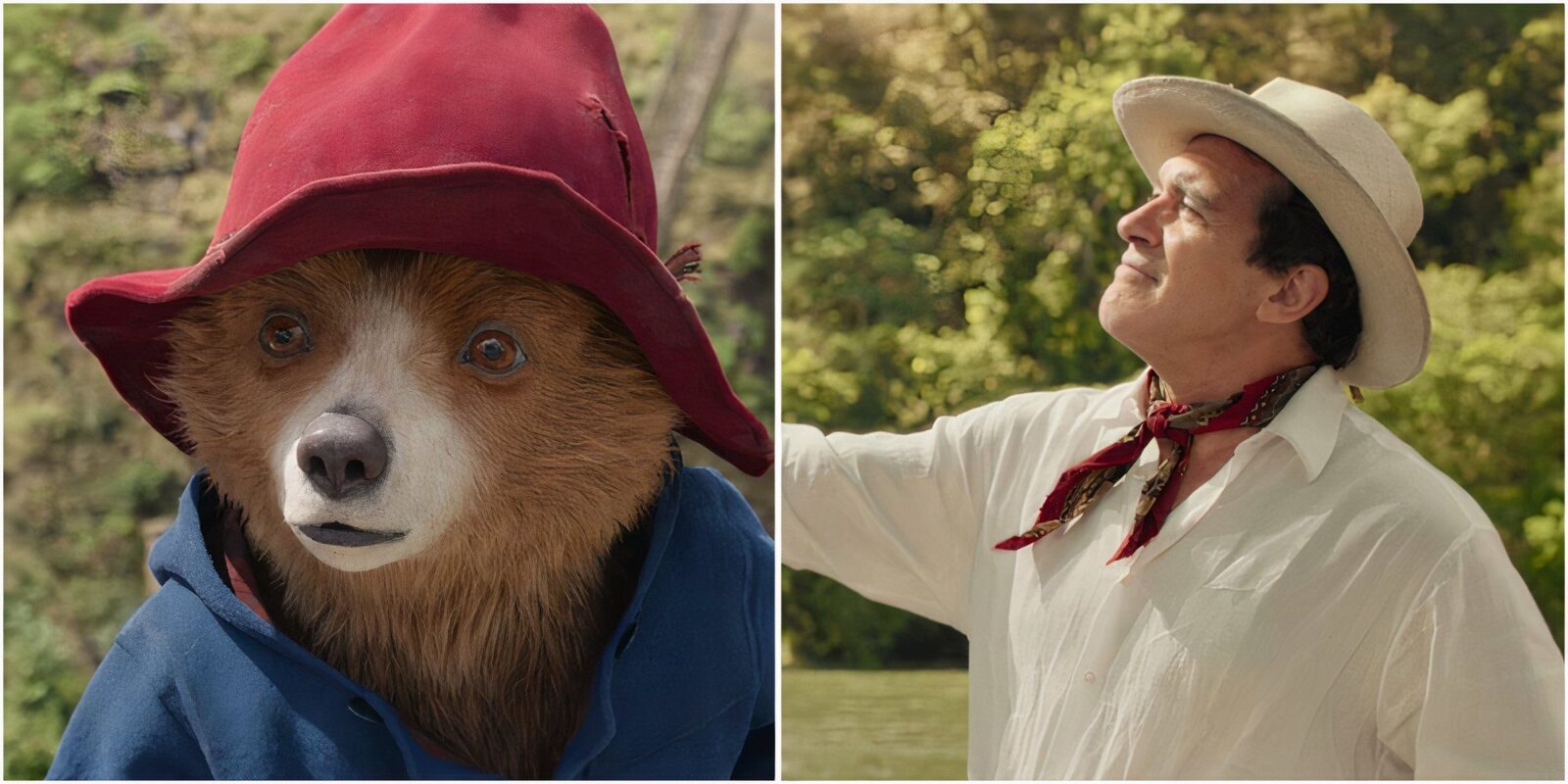 Best Quotes From Paddington in Peru