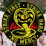 Best Seasons Of Cobra Kai