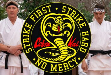 Best Seasons Of Cobra Kai