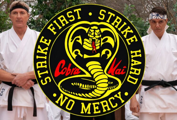 Best Seasons Of Cobra Kai