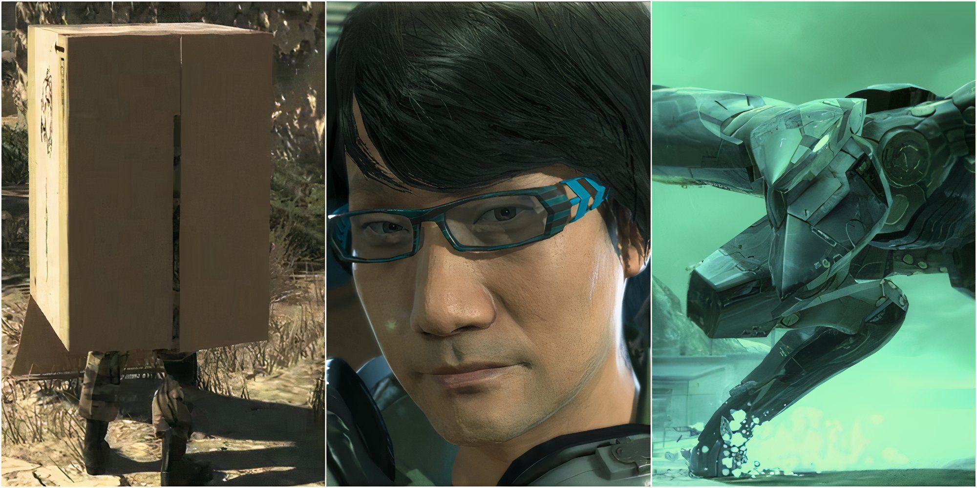 Cardboard box, Kojima, Metal Gear Ray