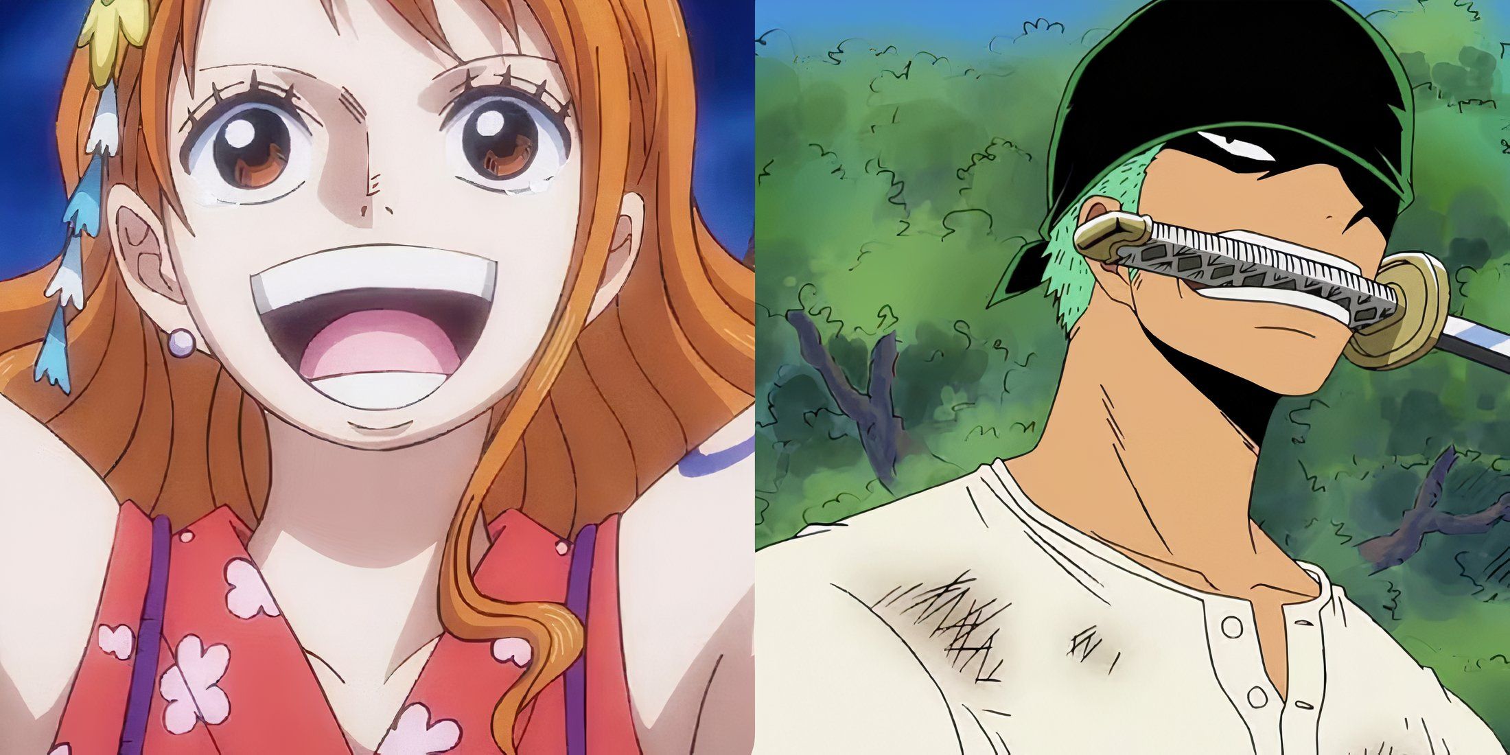 Zoro Nami One Piece