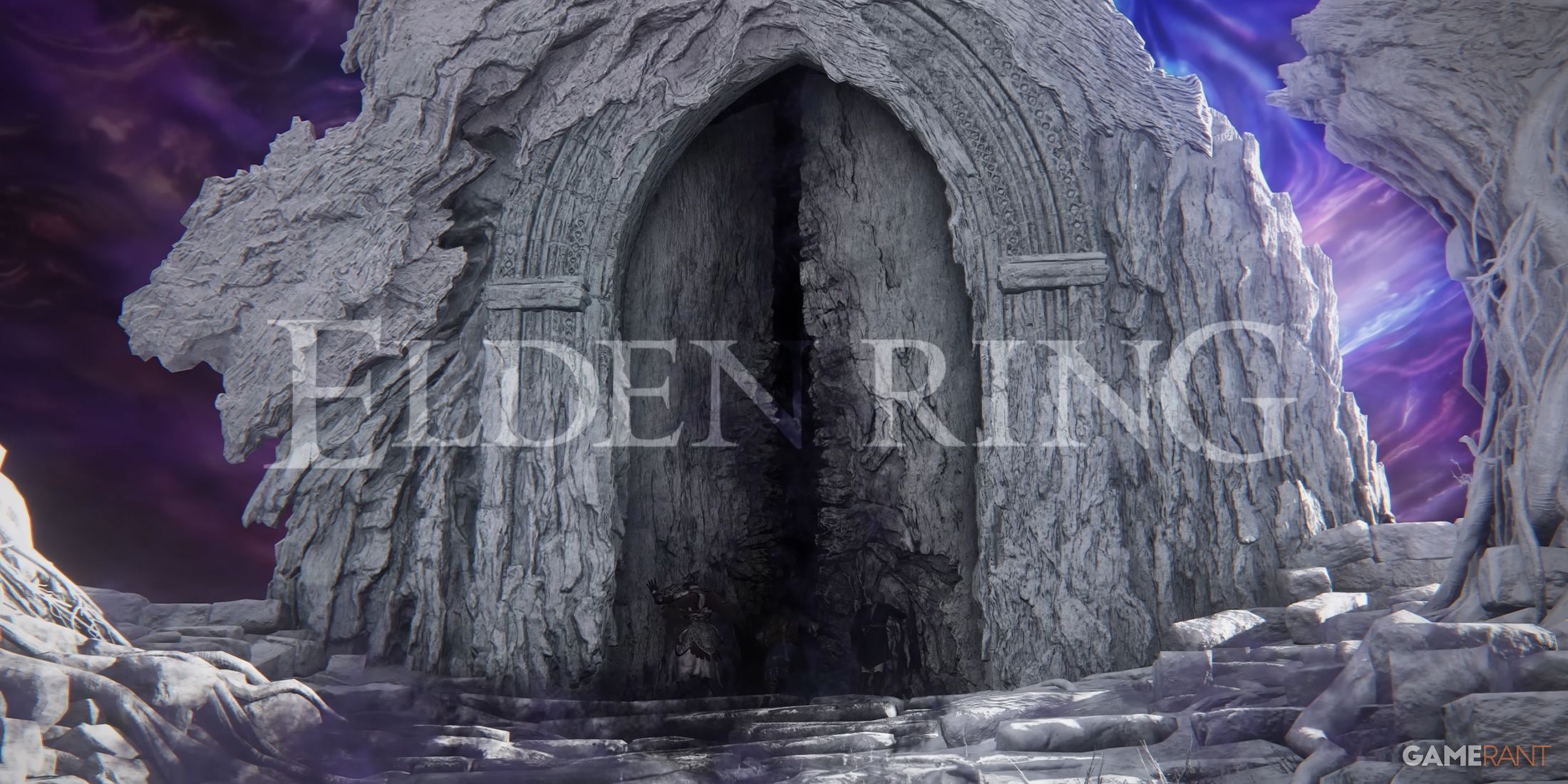 Elden Ring Nightreign Accessible FromSoftware