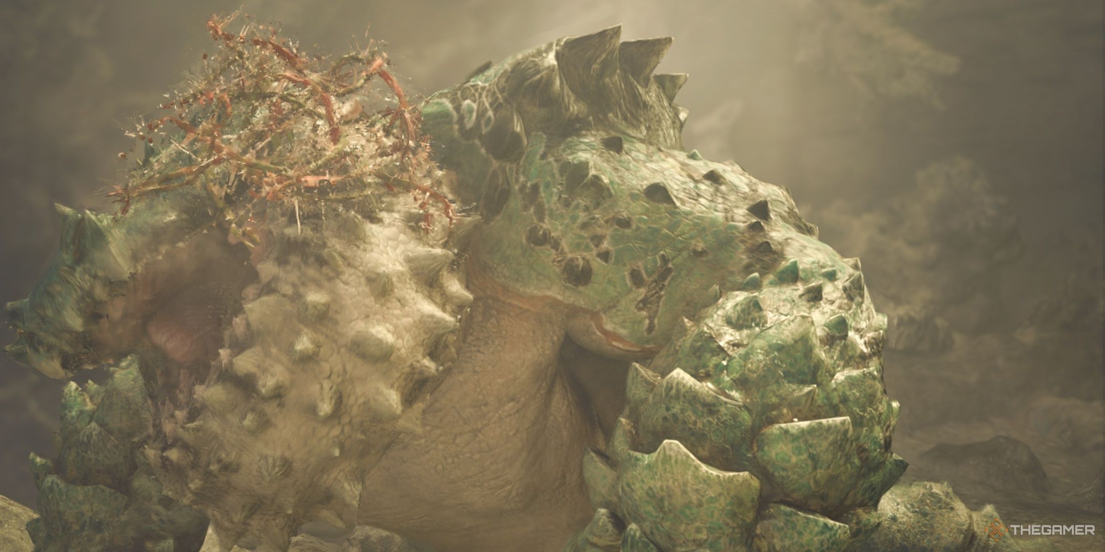 A chatacabra with thorngrass on its face in monster hunter wilds.