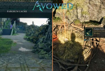 Golden Scale Of Order Totem Fragment Location In Avowed (Pargrun Cache)