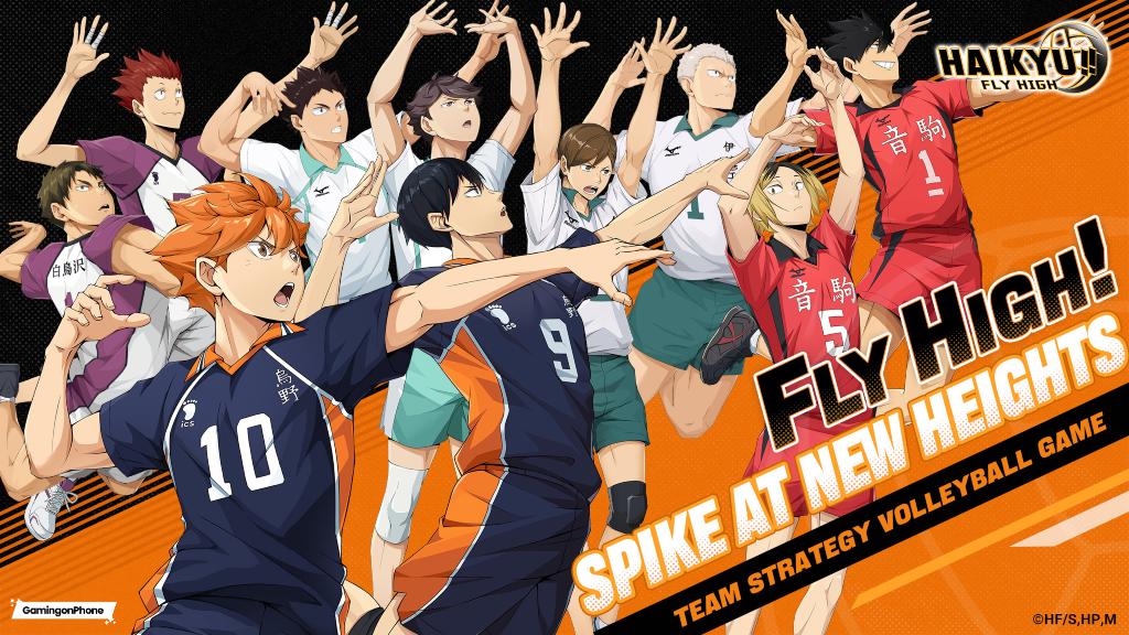 HAIKYU!! FLY HIGH Pre-registration Cover