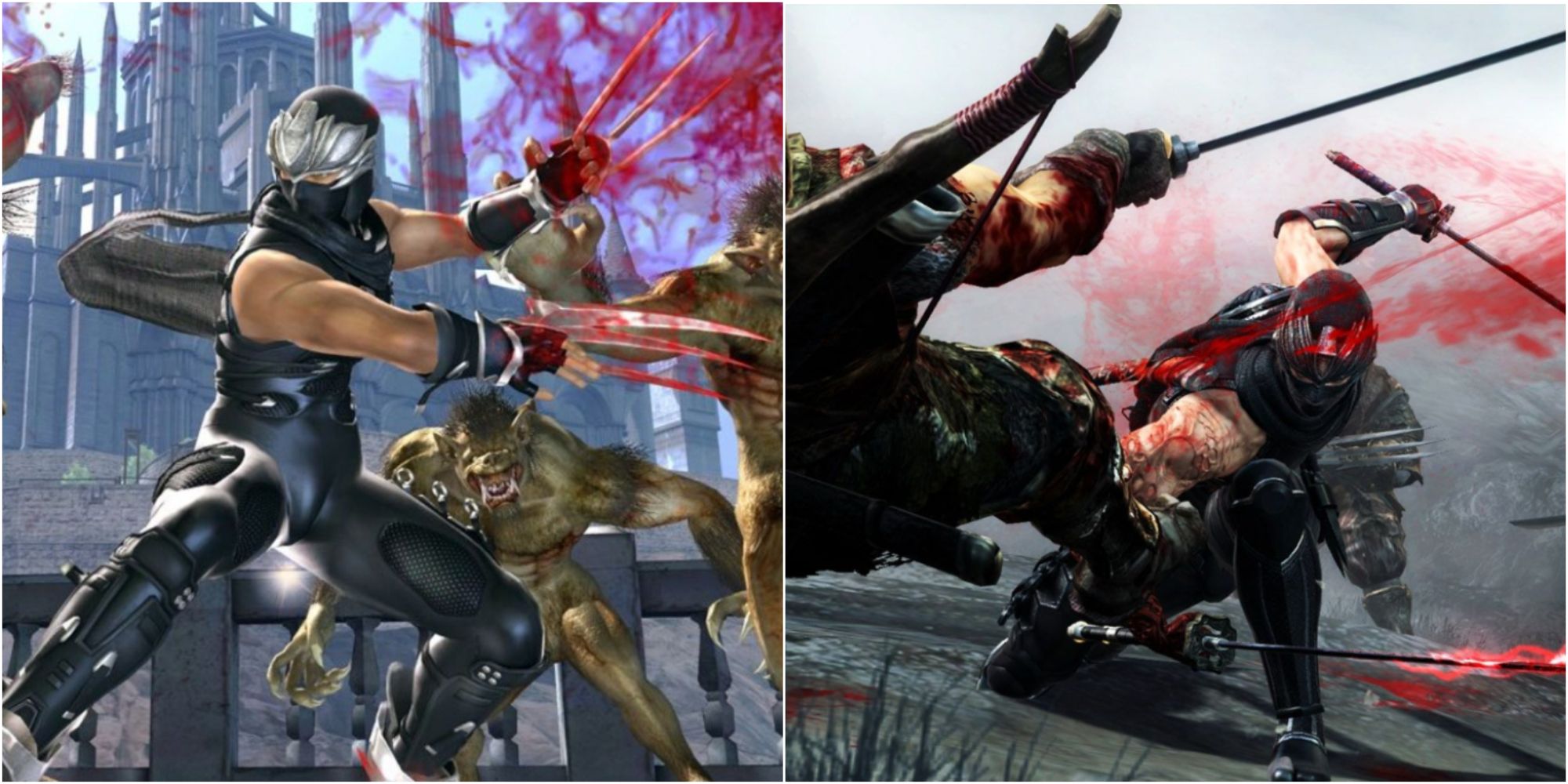 Ninja Gaiden collage of Ninja Gaiden 2 and Ninja Gaiden 3