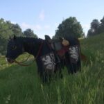 How To Find the Lion's Crest DLC Armor in Kingdom Come: Deliverance 2