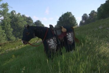 How To Find the Lion's Crest DLC Armor in Kingdom Come: Deliverance 2