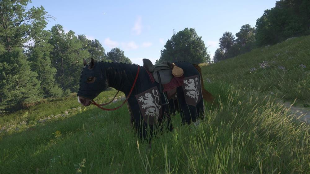 How To Find the Lion's Crest DLC Armor in Kingdom Come: Deliverance 2