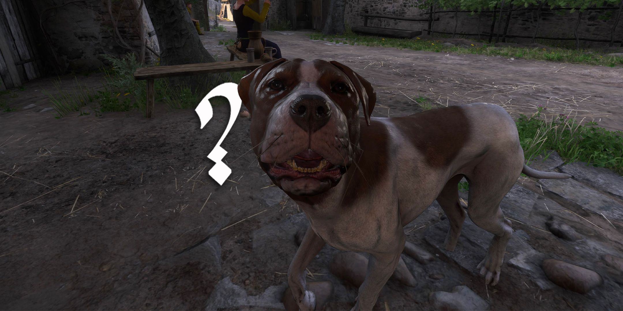 KCD2 Mutt close up with a question mark