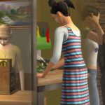 How To Start A Business In The Sims 2