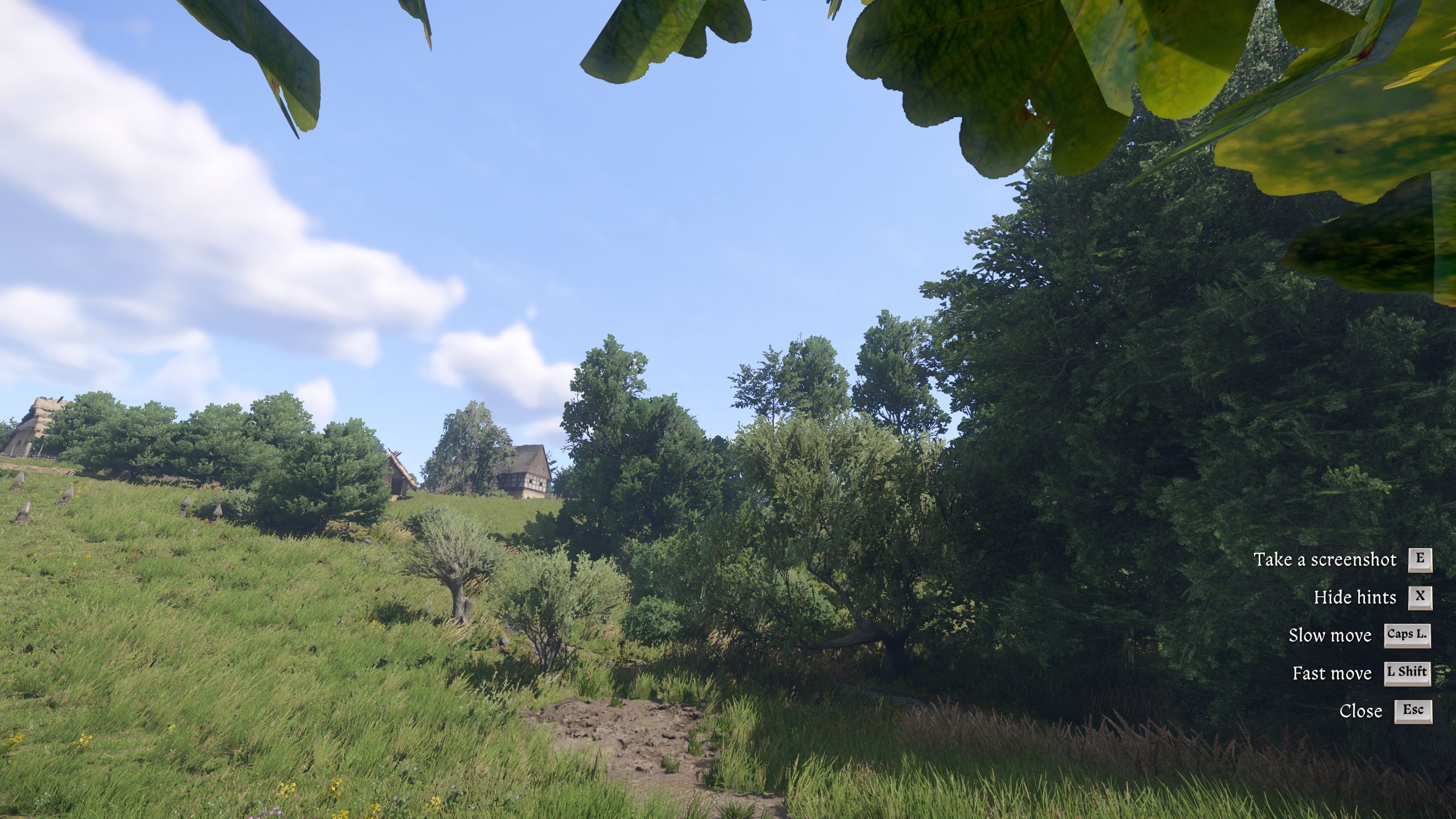 Player is on photo mode in Kingdom Come Deliverance 2