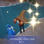 How to Catch Sorcerer Hat Hermit Crab