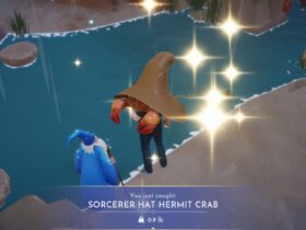 How to Catch Sorcerer Hat Hermit Crab