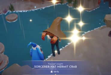 How to Catch Sorcerer Hat Hermit Crab