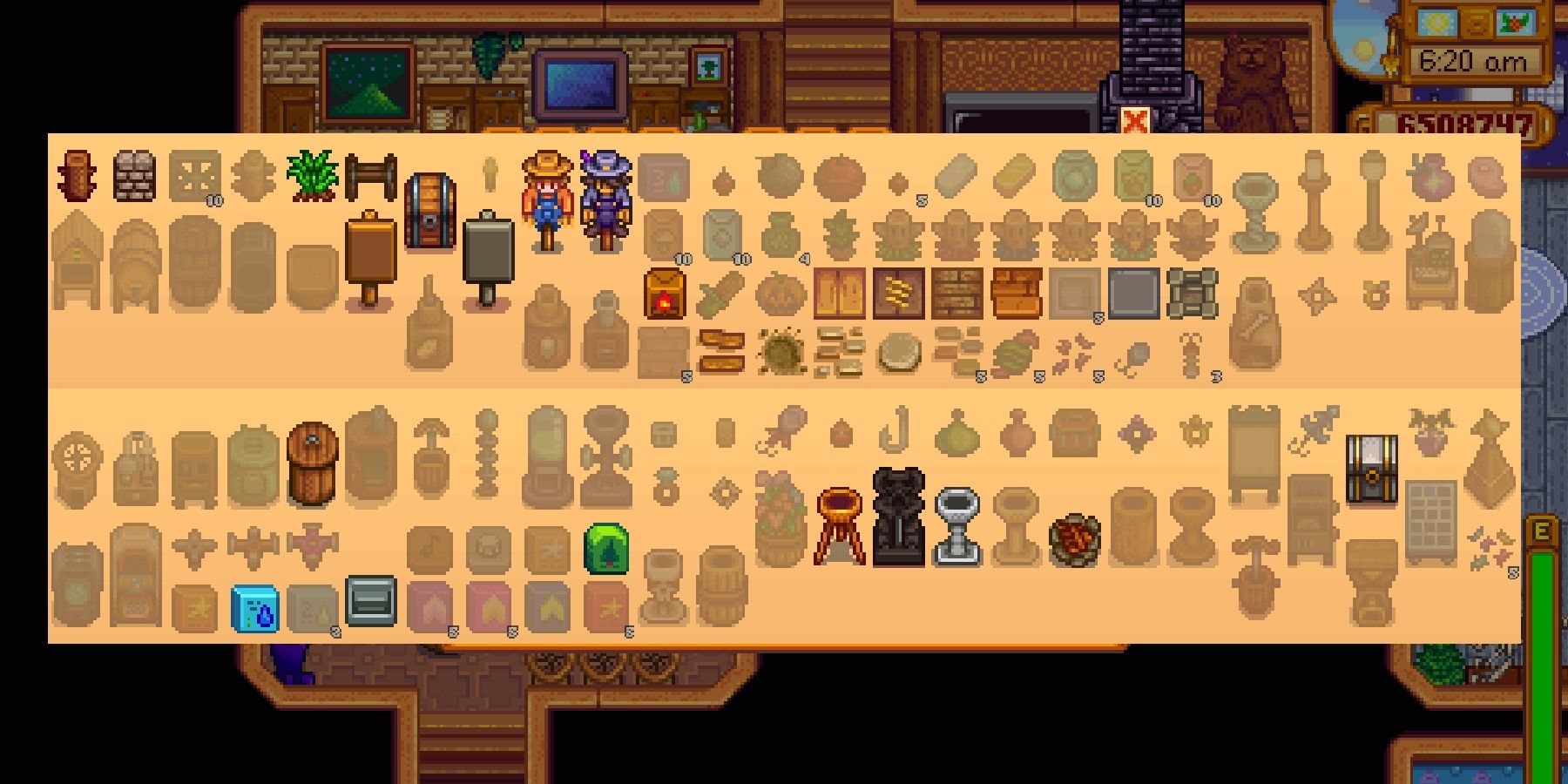 Stardew Valley Every Item