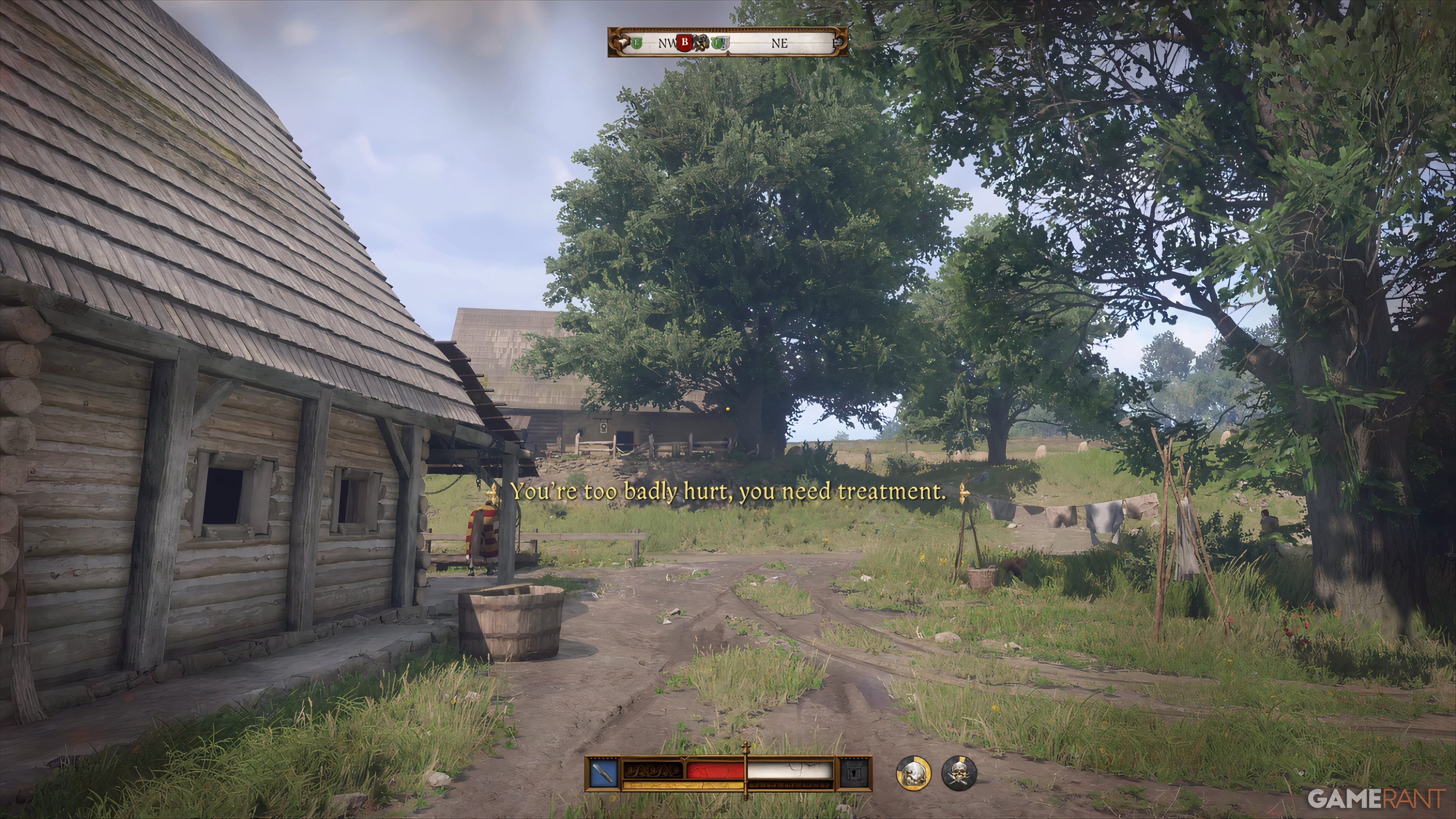 How to Cure Food Poisoning In Kingdom Come Deliverance 2 (2)