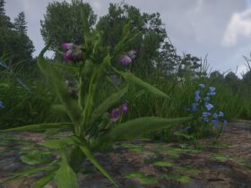 How to Get Comfrey in Kingdom Come: Deliverance 2