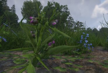 How to Get Comfrey in Kingdom Come: Deliverance 2