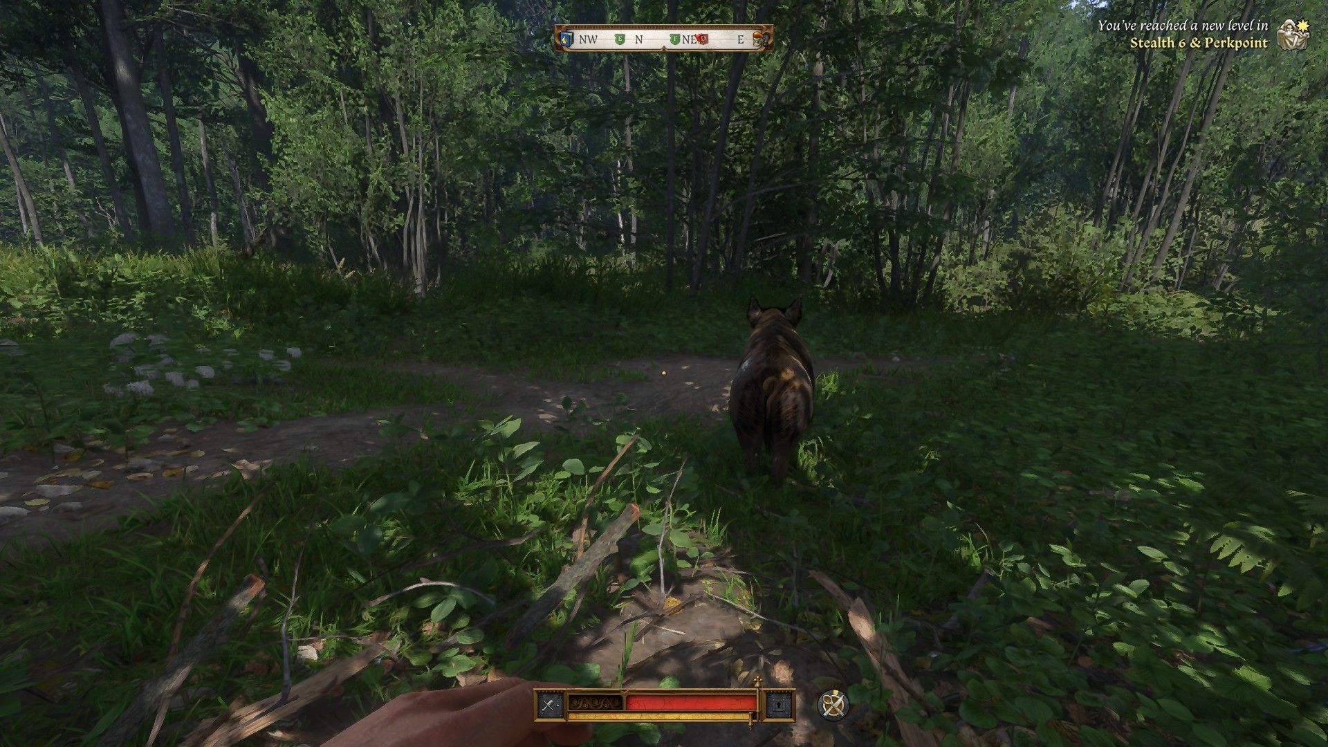 Leveling Stealth with a boar in KCD2