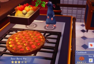 How to Make Sour Berry Pie