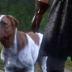 How to find Mutt in Kingdom Come Deliverance 2