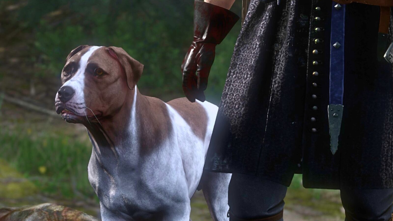 How to find Mutt in Kingdom Come Deliverance 2