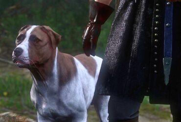 How to find Mutt in Kingdom Come Deliverance 2