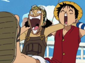 Luffy And Usopp's Relationship, Explained