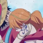 Luffy & Nami’s Relationship, Explained