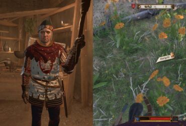 Marigold Decoction Recipe in Kingdom Come: Deliverance 2