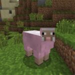 Minecraft Player Designs Sheep Variants