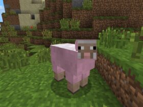 Minecraft Player Designs Sheep Variants