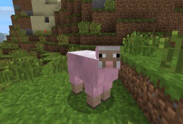 Minecraft Player Designs Sheep Variants