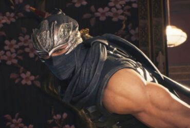 Ninja Gaiden 2 Black Review - A Great Starting Point for New Ninjas | TNS