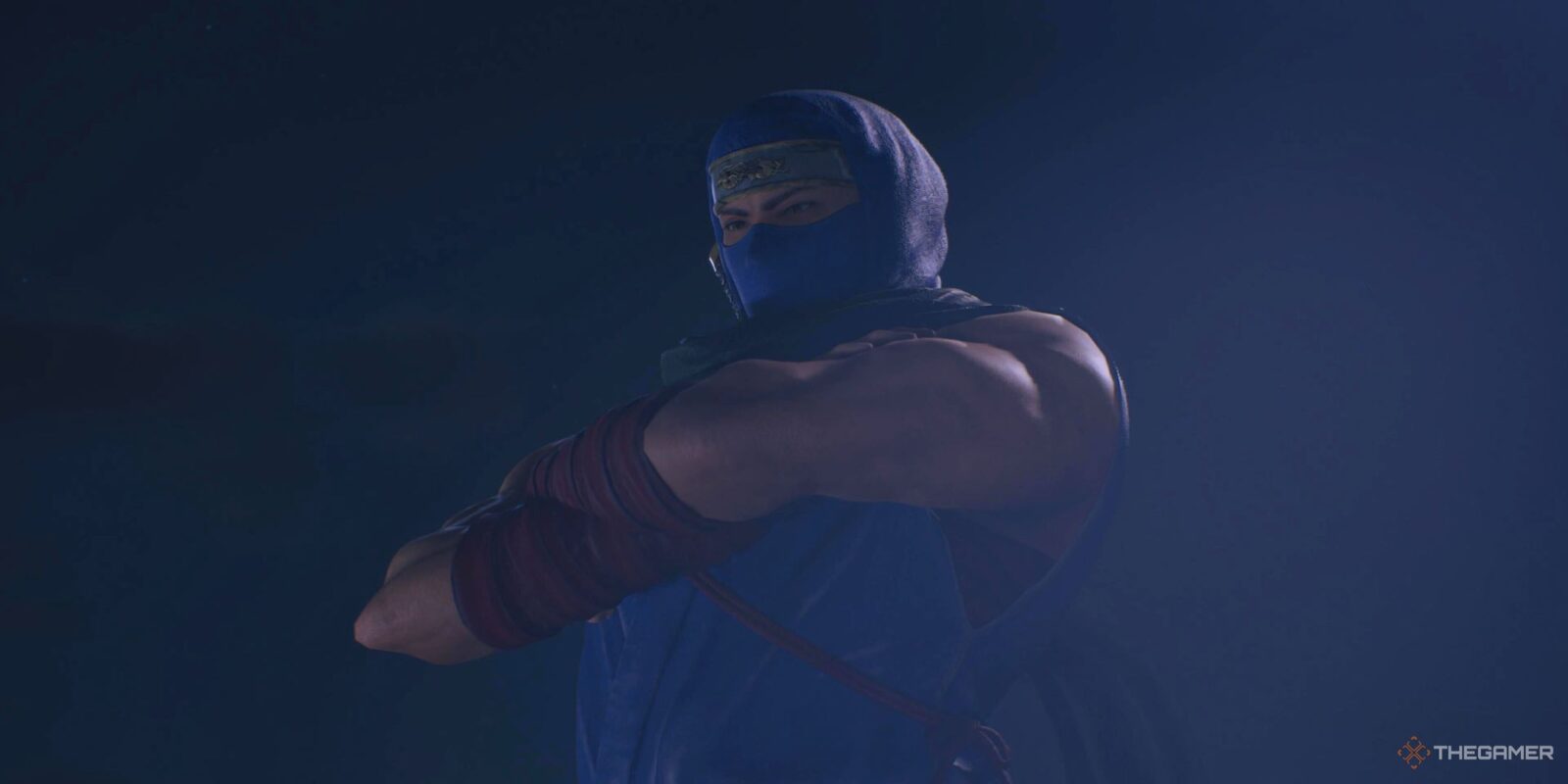 Ninja Gaiden 2 Black Update Adds New Game Plus And Adjusts Enemy Count