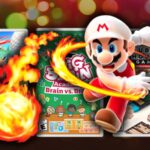 Nintendo Switch Games Survive House Fire