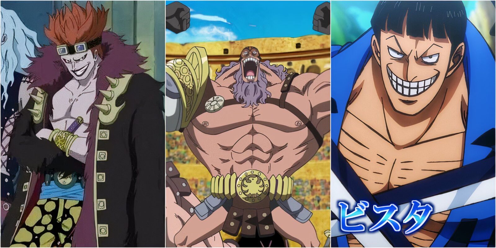 One Piece Characters Who Love To Fight