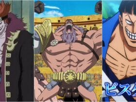 One Piece Characters Who Love To Fight