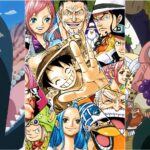 One Piece Story Arcs With Barely Any Fighting