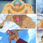 One Piece: The Rumble Balls, Explained